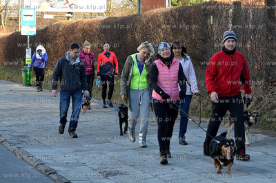 Gdynia. Ogolnopolskie Towarzystwo Ochrony Zwierzat...