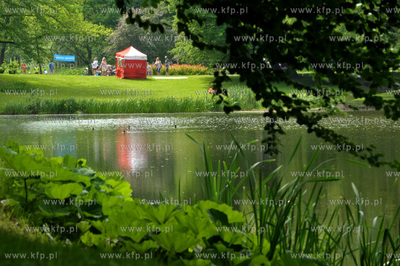 XV Wielki Festyn Rodzinny z okazji Dnia Dziecka w Parku...