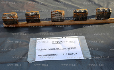 Zwiedzanie 400 m tunelu wierconego przez maszyne TBM...