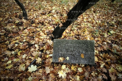 Pozostalosci cmentarza zydowskiego na  Krolewskim Wzgorzu...