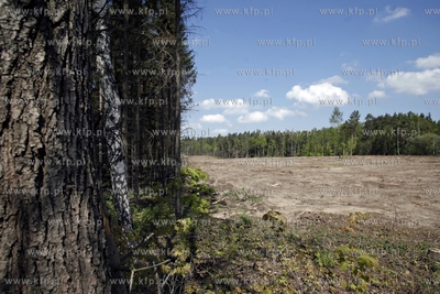 Trasa przyszlej Pomorskiej Kolei Metropolitalnej. Nz....