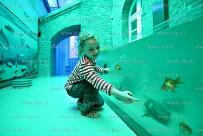 Centrum Hewelianum. Otwarcie Laboratorium Pana Kleksa.
10.05.2014
fot....