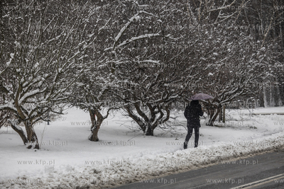 Sopot Brodwino. Zima. 11.01.2025 fot. Krzysztof Mystkowski...