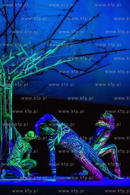 Kraków, Art Color Ballet. Widowisko inaugurujące...