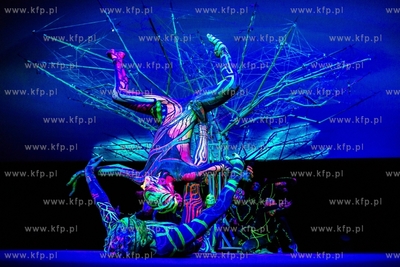 Kraków, Art Color Ballet. Widowisko inaugurujące...