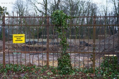 Gdańsk. Wycięto blisko stuletnie drzewa na terenie...