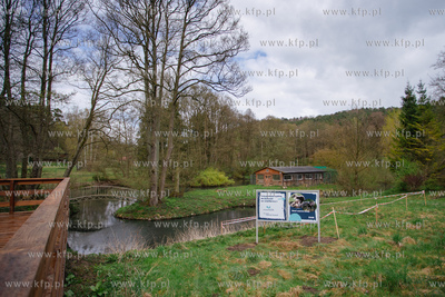 Gdański Ogród Zoologiczny.  Konferencja prasowa dot....