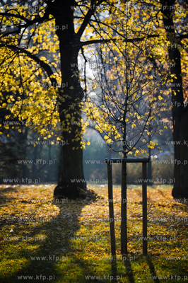 Gdansk. Park Jelitkowski.
06.11.2011
fot. Mateusz...