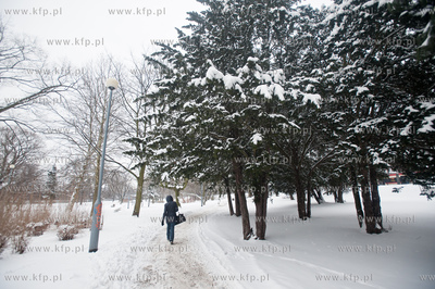 Gdansk. Park Stefensa wzdluz Al. Zwyciestwa.
20.03.2013
fot....