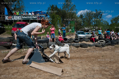 Gdynia Kolibki. Adventure Park. Festyn Edukacyjny pt....