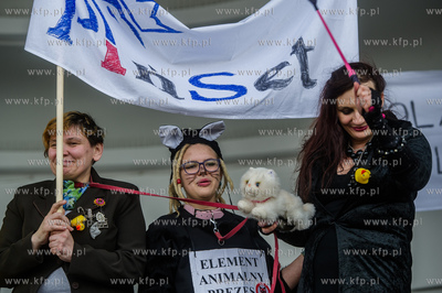 Sopot. Przygotowana przez Stowarzyszenia Komitetu Obrony...