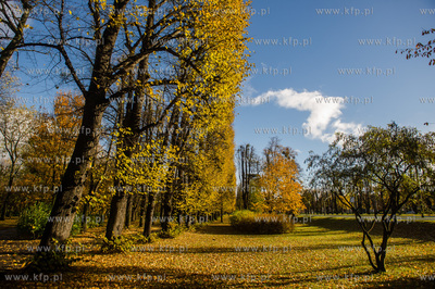 Gdańsk. Jesien w Parku Steffensa.
30.10.2016
fot....