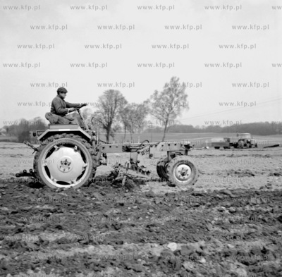 Prace rolne pomiedzy Wladyslawowem a Reda na Kaszubach.05.1969
maj_II_69_z.kosycarz_p3
Fot....