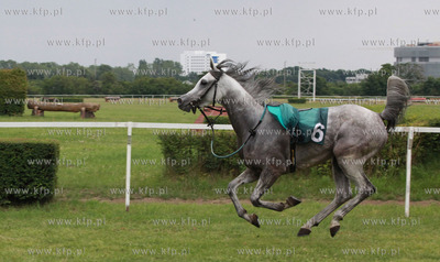 Wyscigi konne na sopockim hipodromie.
12.07.2009
fot....