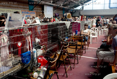 Miedzynarodowa Wystawa Kotor Rasowych w Sopocie.
04.08.2013...