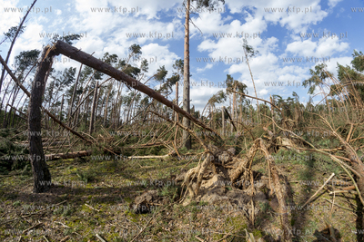 Skutki nawałnicy, która z piątku na sobotę przeszła...