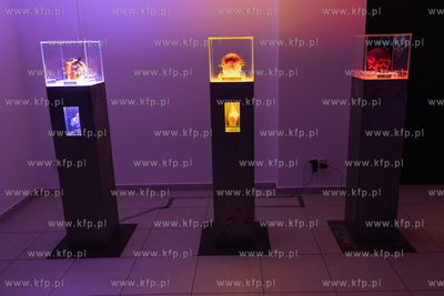 Wernisaż wystawy Jacka Kornackiego "Ślady i znaki...