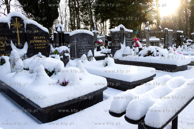 Cmentarz komunalny Salvator Nowy przy ulicy Cmentarnej...