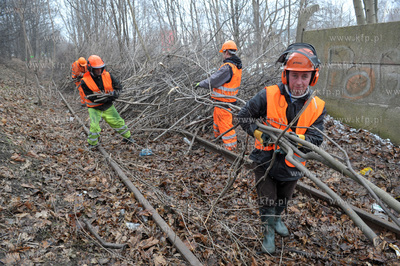 Wycinka drzew pod budowe Pomorskiej Kolei Metropolitalnej...