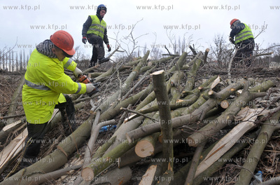 Wycinka drzew pod budowe nowej Trasy Slowackiego na...