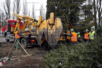 Sopot. Wykopywanie drzew i krzewow  na placyku przy...