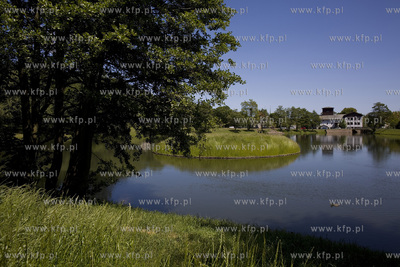 Staw młyński w Gdańsku Oliwie.
11.06.2015
fot....