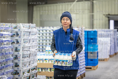 Nowy Dwór Gdański. Okręgowa Spółdzielnia Mleczarska...
