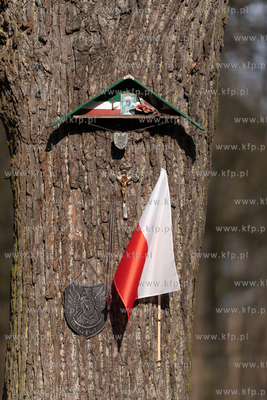 Grób Danuty Siedzikówny INKI na cmentarzy Garnizonowym...