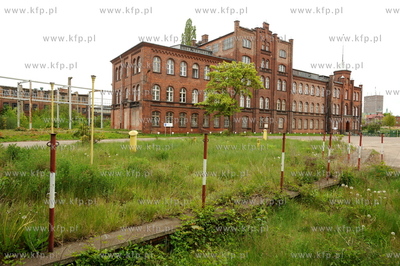 Stocznia Gdanska w niedziele 17.05.2009 fot. Wojciech...