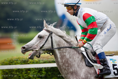 Wyscigi konne na sopockim hipodromie.
13.07.2013
fot....