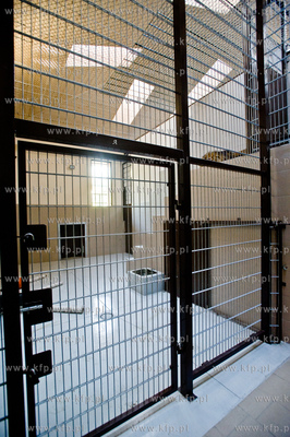 Gdansk. Oliwskie Zoo. Przyjazd czterech lwow, trzech...