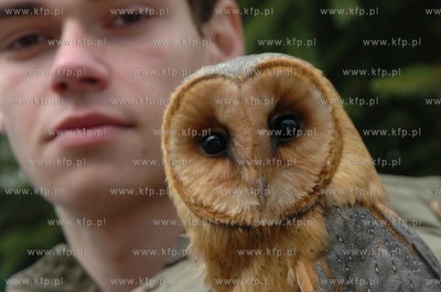 Technikum Lesne w Warcinie woj. pomorskie. Ptaszarnia,...