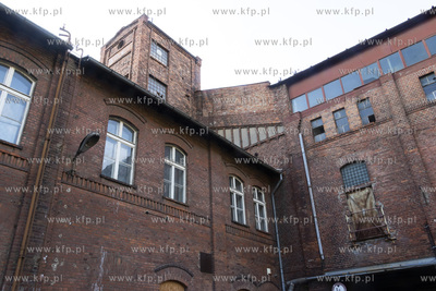 Botaniczny Pruszcz. Spacer badawczy śladem roślin...