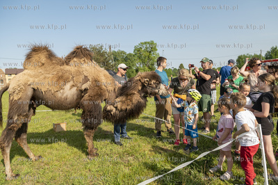 Dobrzewino, wieś na Kaszubach w powiecie wejherowskim....