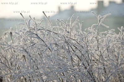 Piekna zima na zabytkowej ul. Wiezyckiej w Gdansku-Lostowicach.
16.01.2010
fot....