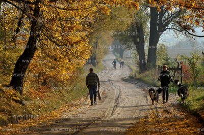 Sulmin na Kaszubach Droga od strony Lezna.. 21.10.2012...