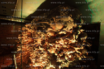 Uroczyste otwarcie Piwnicy Romanskiej z XIIIw., ktora...