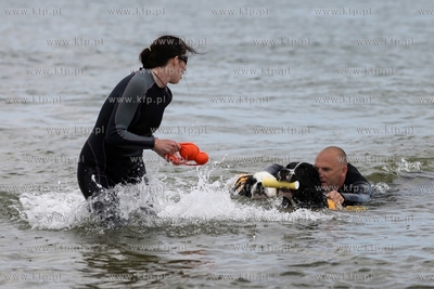 Gdańsk Brzeźno. Puchar Polski Psów Ratowniczych.
14.06.2015
fot....