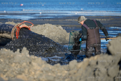 Refulacja plaży miejskiej w Sopocie, dzieki czemu...