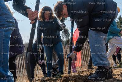 Na Gdańskim Jasieniu przy ul. Stolema powsta IV Miejski...