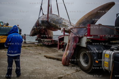 Port Wojenny na Helu. Akcja podnoszenia i transportu,...