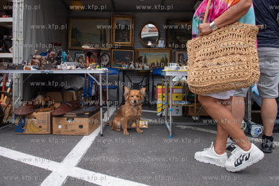 Pierwszy dzień 764. Jarmarku Dominikańskiego. 27.07.2024....