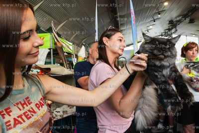 Międzynarodowa wystawa kotów rasowych "Koty na Hawajach"...