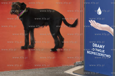 46. Festiwal Polskich Filmów Fabularnych w Gdyni....