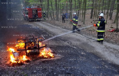 Na lesnej drodze pomiedzy Sulminem gmina Zukowo, a...