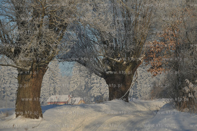 Zima w Sulminie na Kaszubach.
14.01.2010
fot. Maciej...