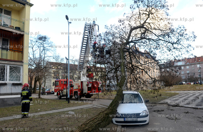 Gdansk. Strazacy usuwaja drzewo, ktore w winiku wichury...