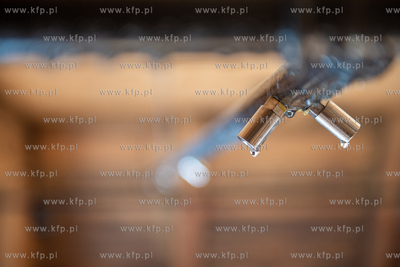 Konserwacja, remont i modernizacja Żurawia Gdańskiego...