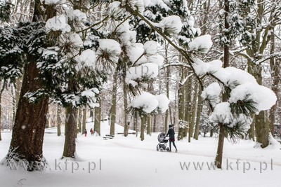 Zima w parku Oliwskim 9.02.2021 / fot. Anna Rezulak...