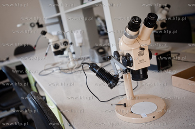 Gdansk. Wyspa Sobieszewoska. Teren Stacji Badawczej...